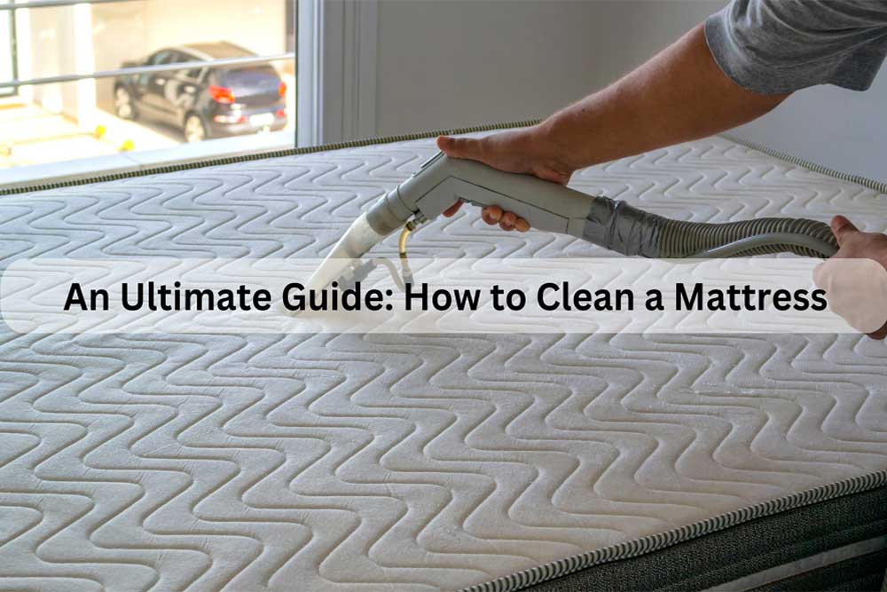 Clean a Mattress