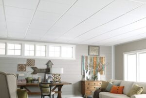 Acoustic Ceilings