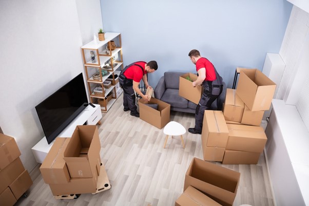 Furniture Removalists
