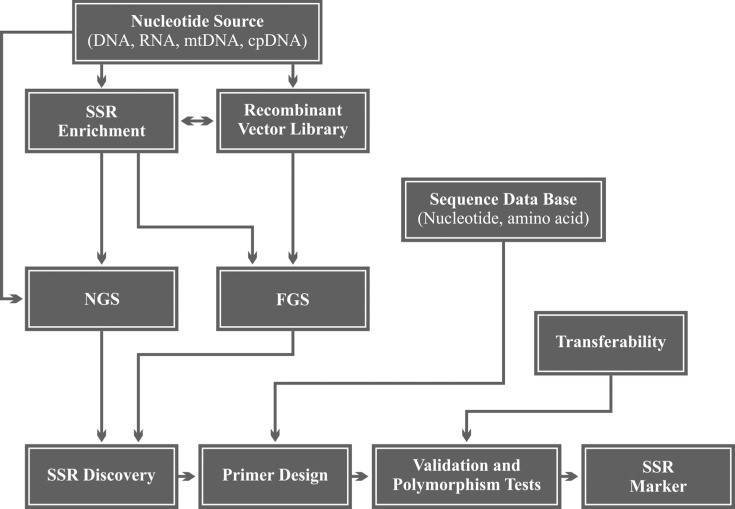 Introduction-to-Microsatellite-and-Microsatellite-Genotyping