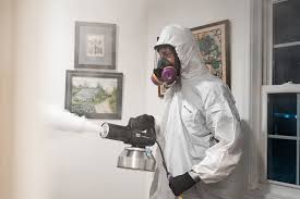 odor removal for decomposition cleanup