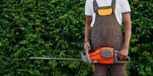 Find an Arborist Near You for Reliable Plant Health Care Services