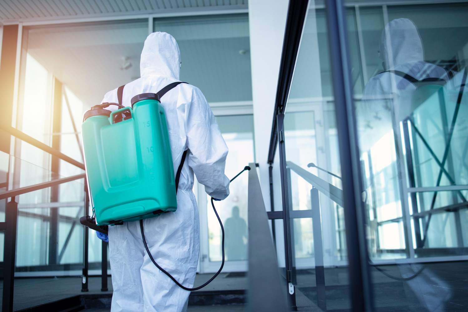 Industrial Pest Control and Termite Solutions in Buford What You Need to Know