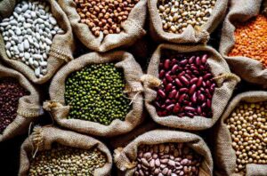 Different varieties of beans in bowls representing trusted beans brands in India with focus on quality, nutrition, and healthy cooking.