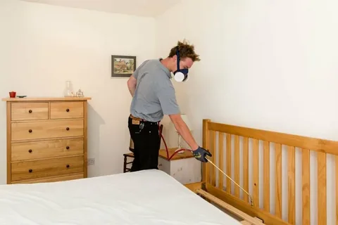 Bed Bug Control Services