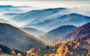 Facts About Germany