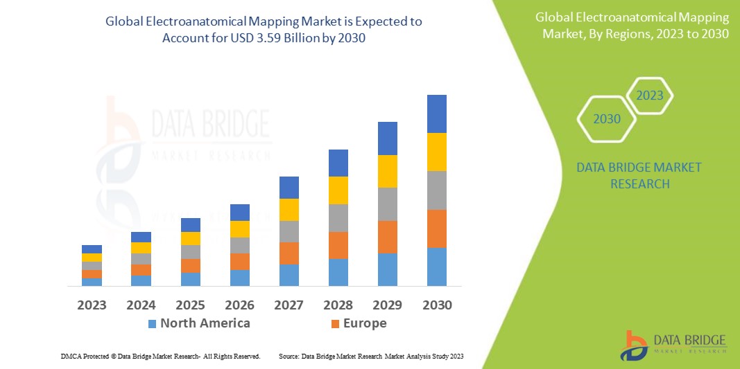 Electroanatomical Mapping Market