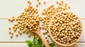 Sesame seeds manufacturers ensuring purity and freshness