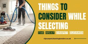 carpet cleaning services near me
