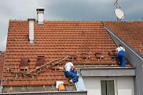 rofessional roof inspection