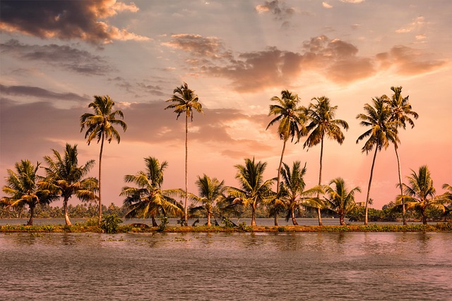kerala backwater tour
