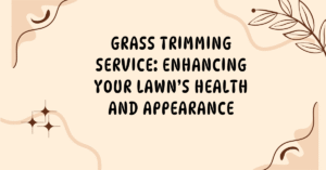 Grass Trimming Service: Enhancing Your Lawn’s Health and Appearance A Fresh Cut Makes All the Difference