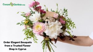 flower shop cyprus