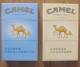 駱駝