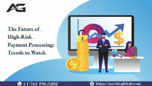 High risk payment processing