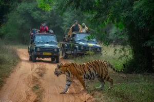 Chandigarh to Lahaul Spiti