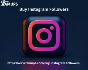 Buy Instagram Followers