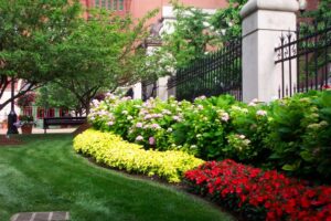 Commercial Landscaping Services in Swindon