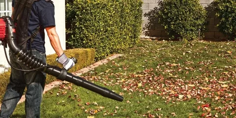 Dryer vent cleaning