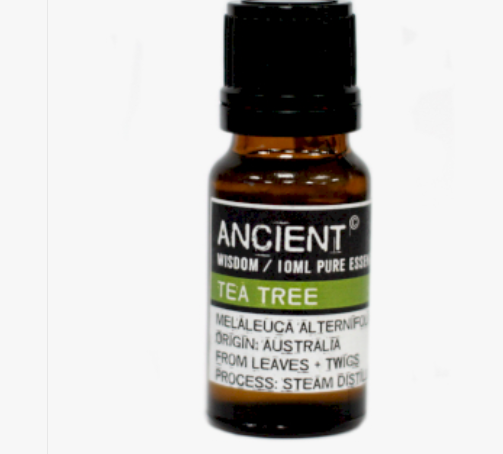 tea tree essential oil