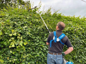 Stump grinding in Wolverhampton