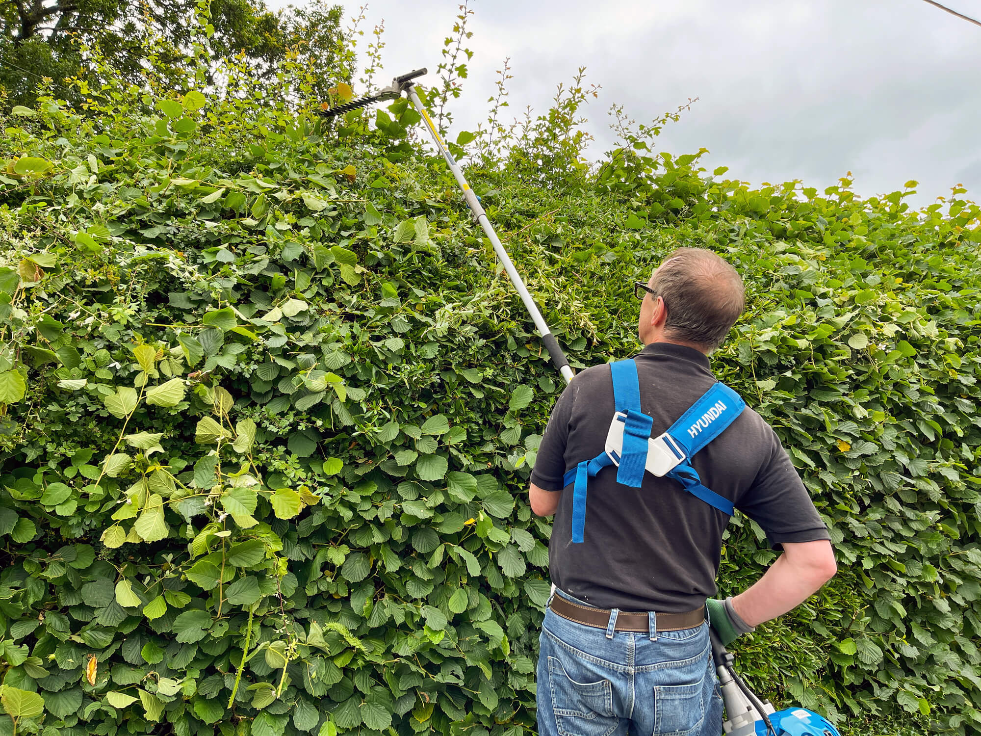 Stump grinding in Wolverhampton