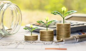 Sustainable Investment Advice