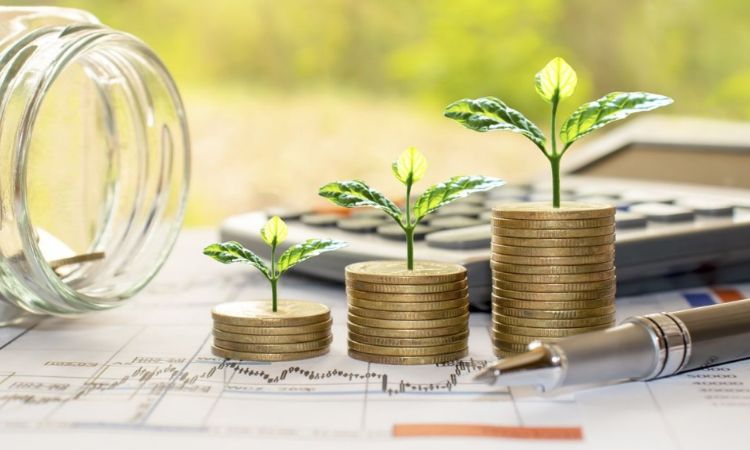 Sustainable Investment Advice