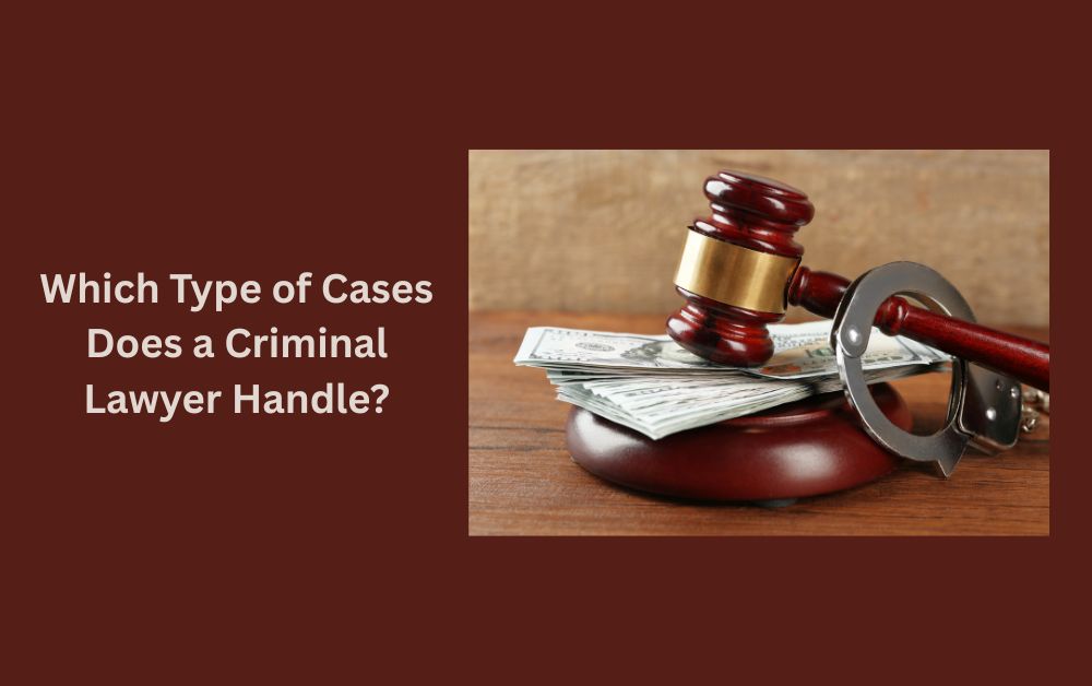 Criminal Lawyer In India