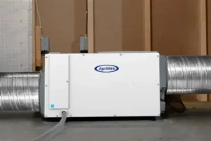 Whole-House Dehumidifiers