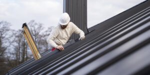 Chimney inspection