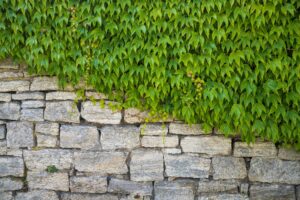 stone walling Melbourne