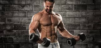 muscle builder