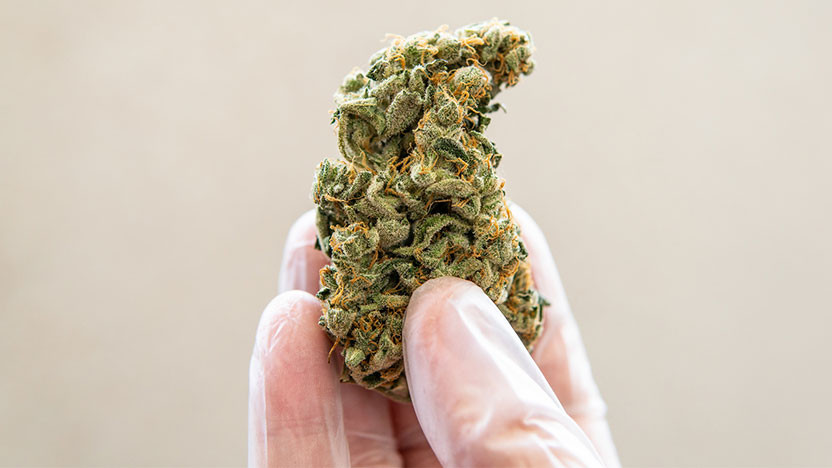 thca-flower