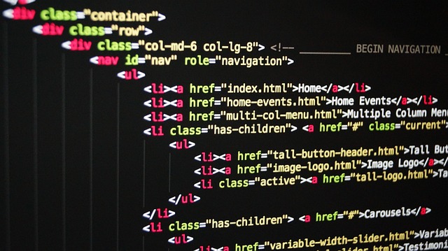 dubai web dev