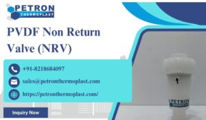 PVDF Non Return Valve