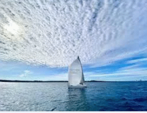 catalina sails online