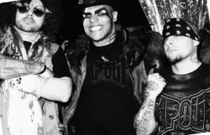 Tapout USA Apparel Where Performance Meets Street Style