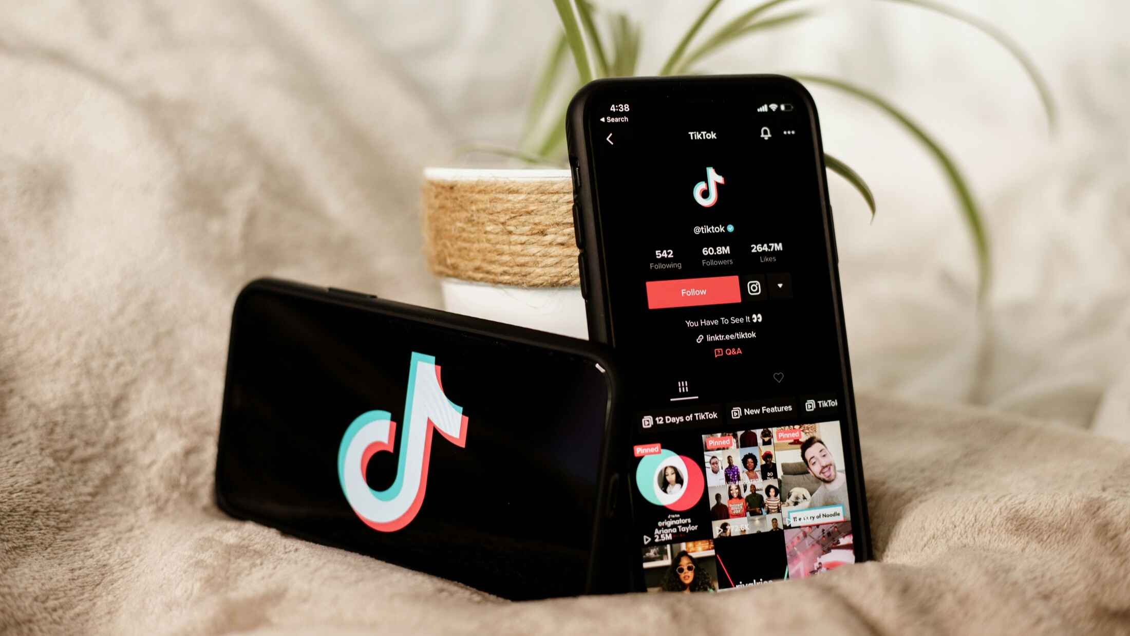 TikTok Live Agency