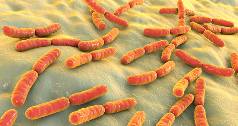 Next-Generation Probiotics