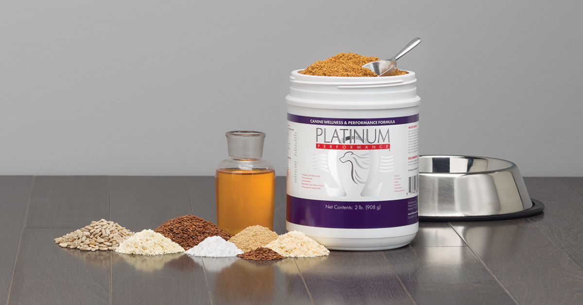 performance dog supplements